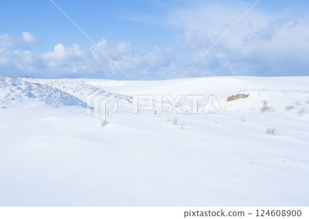 Snow scene of Tottori Sand Dunes in winter Tottori Prefecture Tottori Sand Dunes 124608900