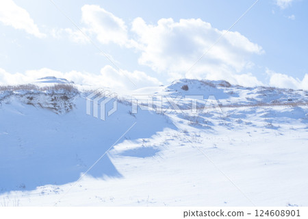 冬季鳥取沙丘的雪景 鳥取縣 鳥取沙丘 冬季鳥取沙丘的雪景 鳥取縣 鳥取沙丘 124608901