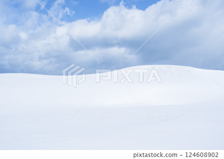 冬季鳥取沙丘的雪景 鳥取縣 鳥取沙丘 124608902