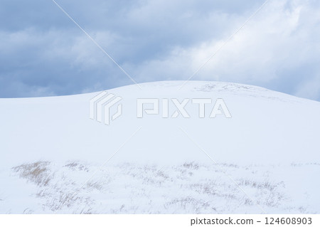 冬季鳥取沙丘的雪景 鳥取縣 鳥取沙丘 冬季鳥取沙丘的雪景 鳥取縣 鳥取沙丘 124608903