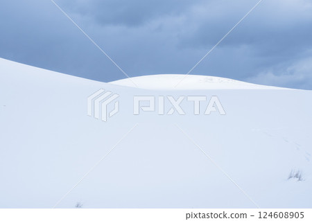 冬季鳥取沙丘的雪景 鳥取縣 鳥取沙丘 冬季鳥取沙丘的雪景 鳥取縣 鳥取沙丘 124608905