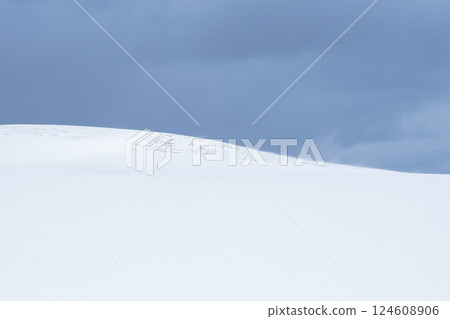 冬季鳥取沙丘的雪景 鳥取縣 鳥取沙丘 冬季鳥取沙丘的雪景 鳥取縣 鳥取沙丘 124608906