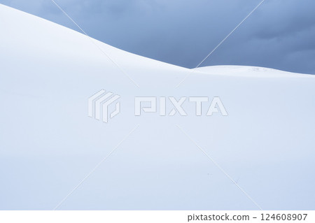 冬季鳥取沙丘的雪景 鳥取縣 鳥取沙丘 124608907