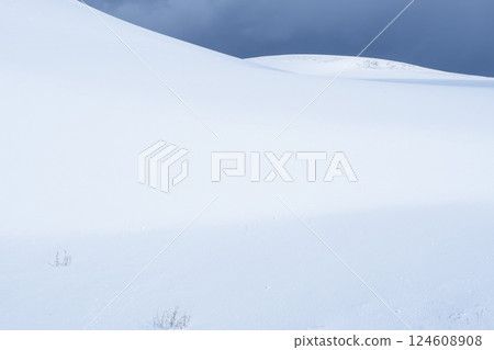 冬季鳥取沙丘的雪景 鳥取縣 鳥取沙丘 124608908