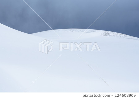 冬季鳥取沙丘的雪景 鳥取縣 鳥取沙丘 124608909