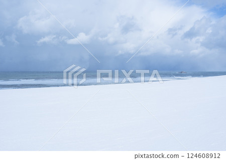 冬季鳥取沙丘的雪景 鳥取縣 鳥取沙丘 冬季鳥取沙丘的雪景 鳥取縣 鳥取沙丘 124608912