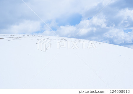 冬季鳥取沙丘的雪景 鳥取縣 鳥取沙丘 冬季鳥取沙丘的雪景 鳥取縣 鳥取沙丘 124608913