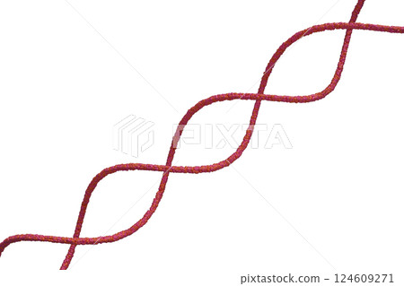 DNA 雙螺旋的圖像 124609271