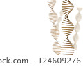 DNA 雙螺旋的圖像 124609276