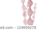 DNA 雙螺旋的圖像 124609278