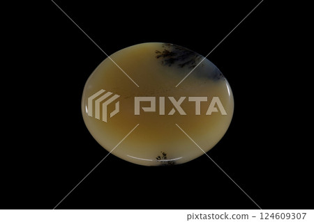 Dendritic Agate A stone that harbors landscapes Dendritic Agate A stone that harbors landscapes 124609307