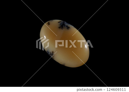 Dendritic Agate A stone that harbors landscapes 124609311