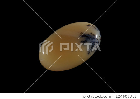 Dendritic Agate A stone that harbors landscapes Dendritic Agate A stone that harbors landscapes 124609315