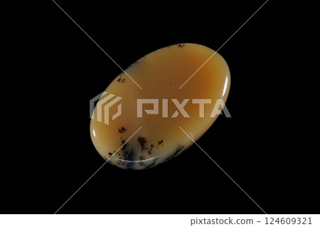 Dendritic Agate A stone that harbors landscapes 124609321