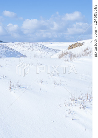 Snow scene of Tottori Sand Dunes in winter Tottori Prefecture Tottori Sand Dunes 124609565