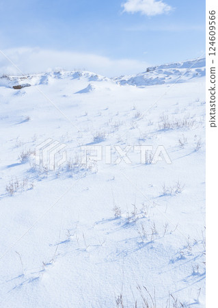 Snow scene of Tottori Sand Dunes in winter Tottori Prefecture Tottori Sand Dunes Snow scene of Tottori Sand Dunes in winter Tottori Prefecture Tottori Sand Dunes 124609566
