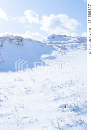 Snow scene of Tottori Sand Dunes in winter Tottori Prefecture Tottori Sand Dunes 124609567