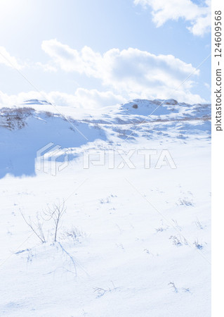冬季鳥取沙丘的雪景 鳥取縣 鳥取沙丘 124609568