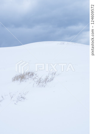 冬季鳥取沙丘的雪景 鳥取縣 鳥取沙丘 124609572