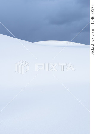 冬季鳥取沙丘的雪景 鳥取縣 鳥取沙丘 冬季鳥取沙丘的雪景 鳥取縣 鳥取沙丘 124609573