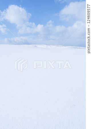 Snow scene of Tottori Sand Dunes in winter Tottori Prefecture Tottori Sand Dunes 124609577