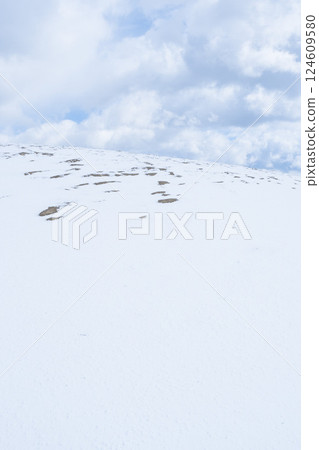 冬季鳥取沙丘的雪景 鳥取縣 鳥取沙丘 124609580