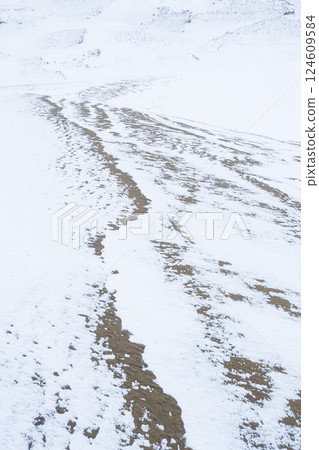 冬季鳥取沙丘的雪景 鳥取縣 鳥取沙丘 冬季鳥取沙丘的雪景 鳥取縣 鳥取沙丘 124609584