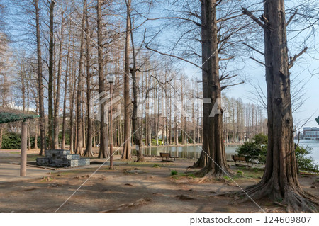 Besshonuma Park in Urawa, Saitama City, Saitama Prefecture 124609807
