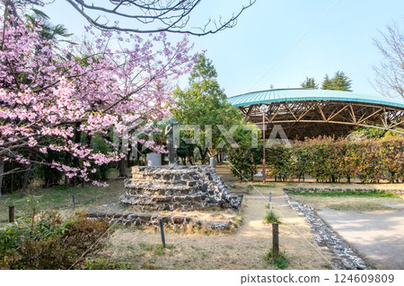 Besshonuma Park in Urawa, Saitama City, Saitama Prefecture 124609809