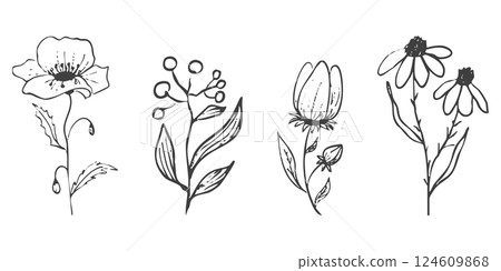 Floral botanical feminine wild flower summer line sketch drawing. Trendy minimal elements wedding herbs, minimalistic flowers with elegant leaves. Tiny tattoo, elegant rustic 124609868