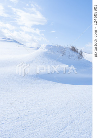 Snow scene of Tottori Sand Dunes in winter Tottori Prefecture Tottori Sand Dunes 124609903