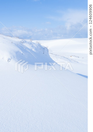 冬季鳥取沙丘的雪景 鳥取縣 鳥取沙丘 冬季鳥取沙丘的雪景 鳥取縣 鳥取沙丘 124609906
