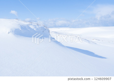 冬季鳥取沙丘的雪景 鳥取縣 鳥取沙丘 124609907