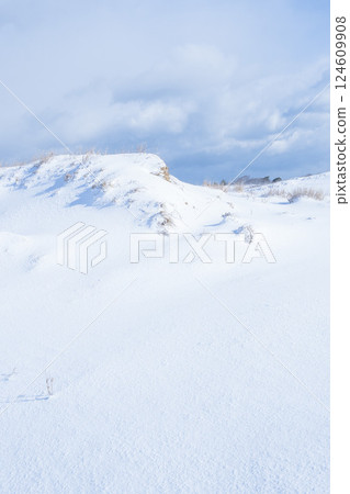 Snow scene of Tottori Sand Dunes in winter Tottori Prefecture Tottori Sand Dunes 124609908
