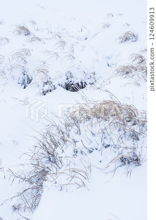 Snow scene of Tottori Sand Dunes in winter Tottori Prefecture Tottori Sand Dunes Snow scene of Tottori Sand Dunes in winter Tottori Prefecture Tottori Sand Dunes 124609913