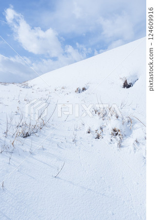 冬季鳥取沙丘的雪景 鳥取縣 鳥取沙丘 冬季鳥取沙丘的雪景 鳥取縣 鳥取沙丘 124609916