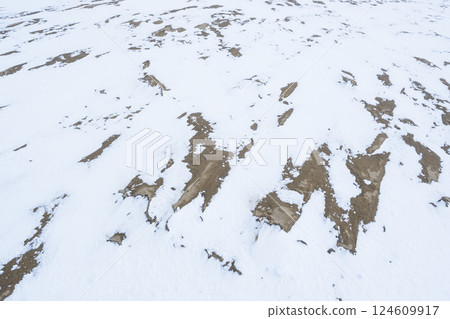 冬季鳥取沙丘的雪景 鳥取縣 鳥取沙丘 124609917