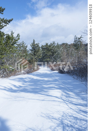 Snow scene of Tottori Sand Dunes in winter Tottori Prefecture Tottori Sand Dunes 124609918