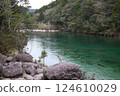 屋久島河 124610029