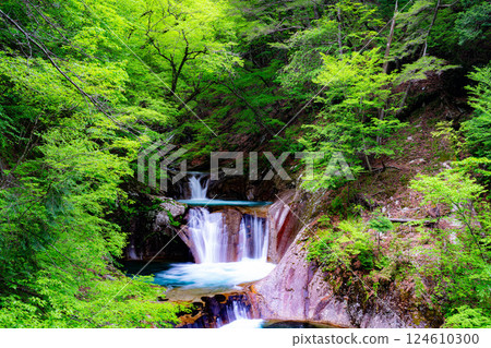 [Early summer material] Fresh greenery in Nishizawa Valley [Yamanashi Prefecture] 124610300