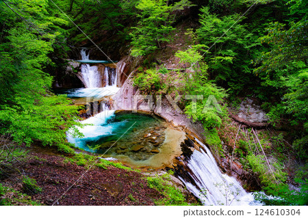 [Early summer material] Fresh greenery in Nishizawa Valley [Yamanashi Prefecture] 124610304