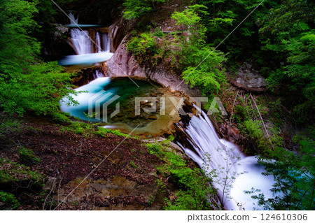 [Early summer material] Fresh greenery in Nishizawa Valley [Yamanashi Prefecture] 124610306