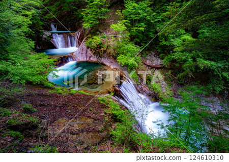 [Early summer material] Fresh greenery in Nishizawa Valley [Yamanashi Prefecture] 124610310