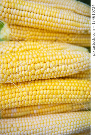 Collection of young yellow corn in summer. Harvesting from the vegetable garden. Agriculture. Close-up. Collection of young yellow corn in summer. Harvesting from the vegetable garden. Agriculture. Close-up. 124610724