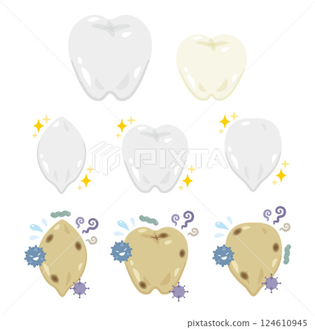 牙齒插圖集 124610945