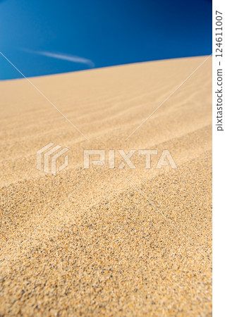 Tottori Sand Dunes: Beautiful sand ripples and blue skies 124611007