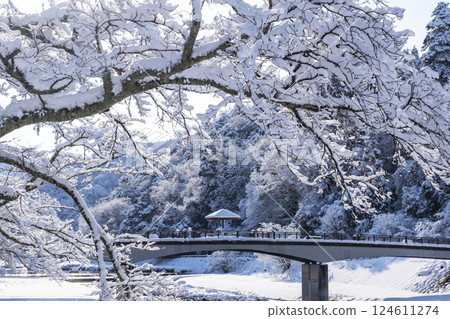 Misasa hot spring snow scene 124611274