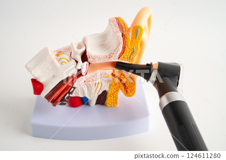 Otoscope with model for audiologist or ENT doctor use otoscope checking ear and treat hearing loss problem. Otoscope with model for audiologist or ENT doctor use otoscope checking ear and treat hearing loss problem. 124611280