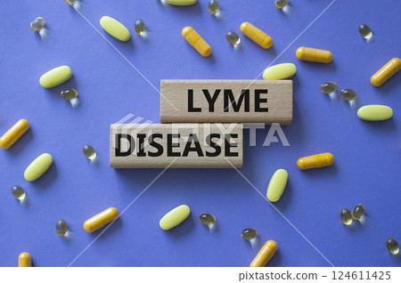 Lyme Disease symbol. Concept word Lyme Disease on wooden blocks. Beautiful purple background with pills. Medicine and Lyme Disease concept. Copy space Lyme Disease symbol. Concept word Lyme Disease on wooden blocks. Beautiful purple background with pills. Medicine and Lyme Disease concept. Copy space 124611425