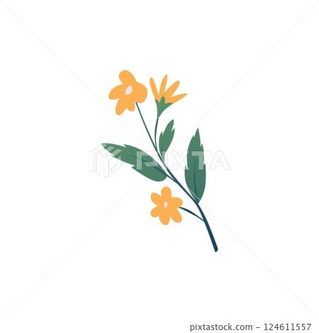 Calendula or marigold flower flat vector icon, beautiful blossom orange daisy flower on a stem, aromatherapy herb plant Calendula or marigold flower flat vector icon, beautiful blossom orange daisy flower on a stem, aromatherapy herb plant 124611557